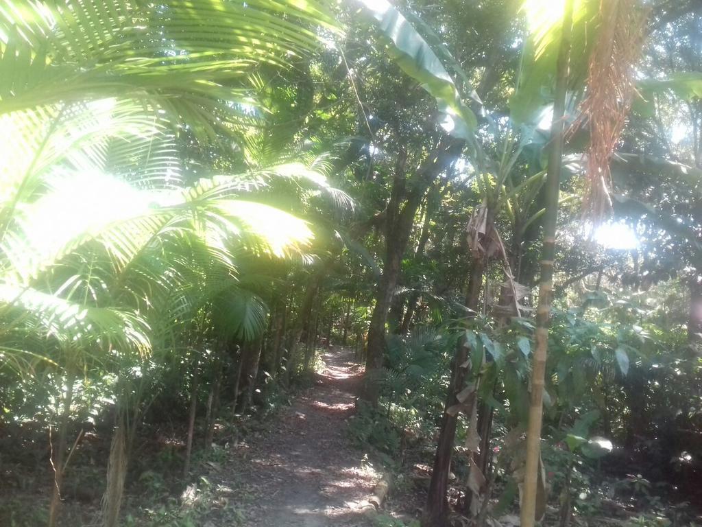 Recanto Da Kaka Ilha do Mel Buitenkant foto