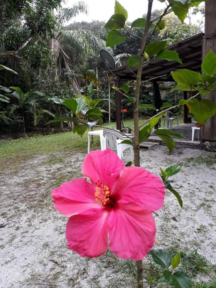 Recanto Da Kaka Ilha do Mel Buitenkant foto